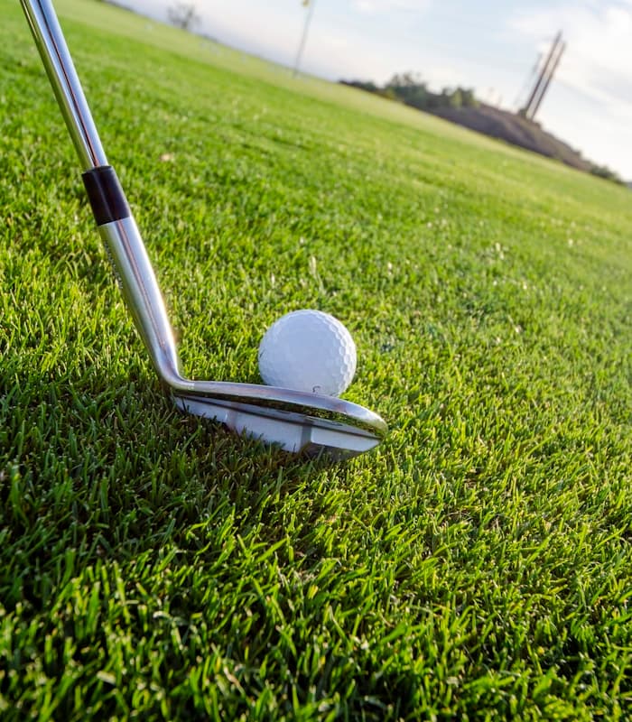 Golfer on a green fairway preparing to putt